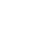 airport icon